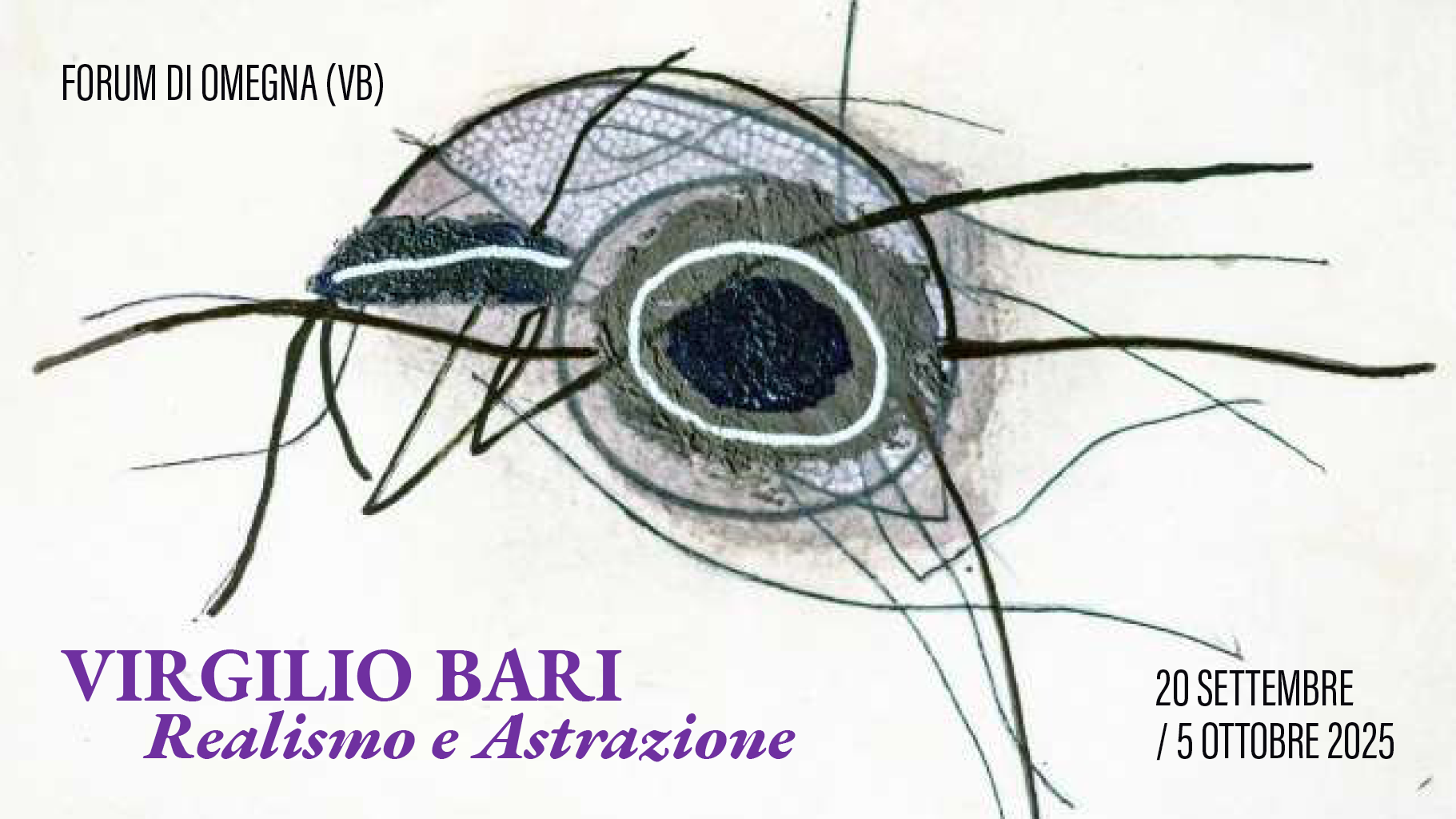 Associazione I Lamberti - Associazione Pro Forum e Parco della Fantasia di Omegna
